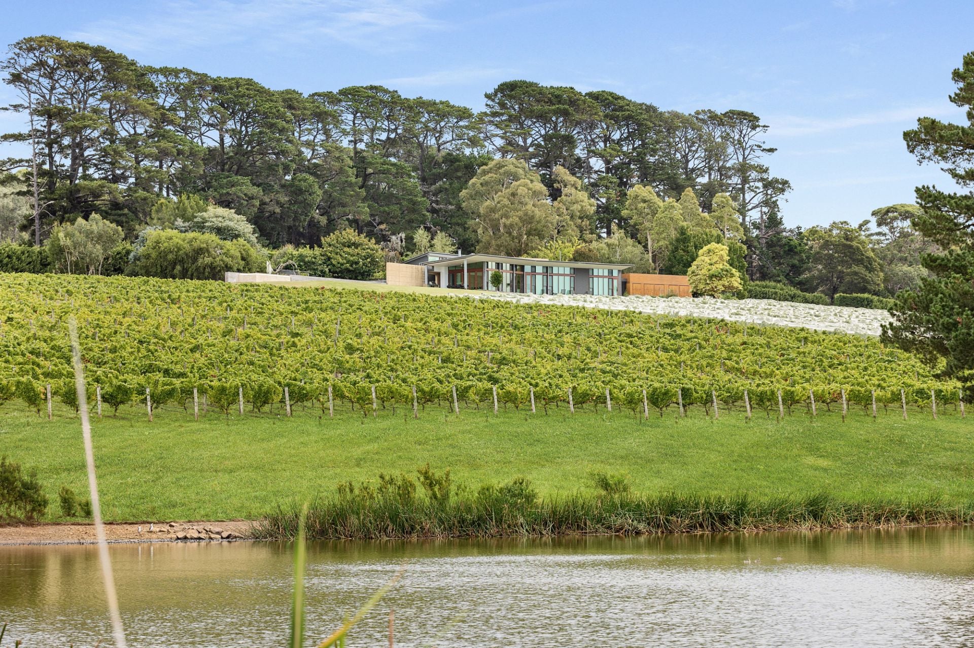 Maintained rural property on the Mornington Peninsula